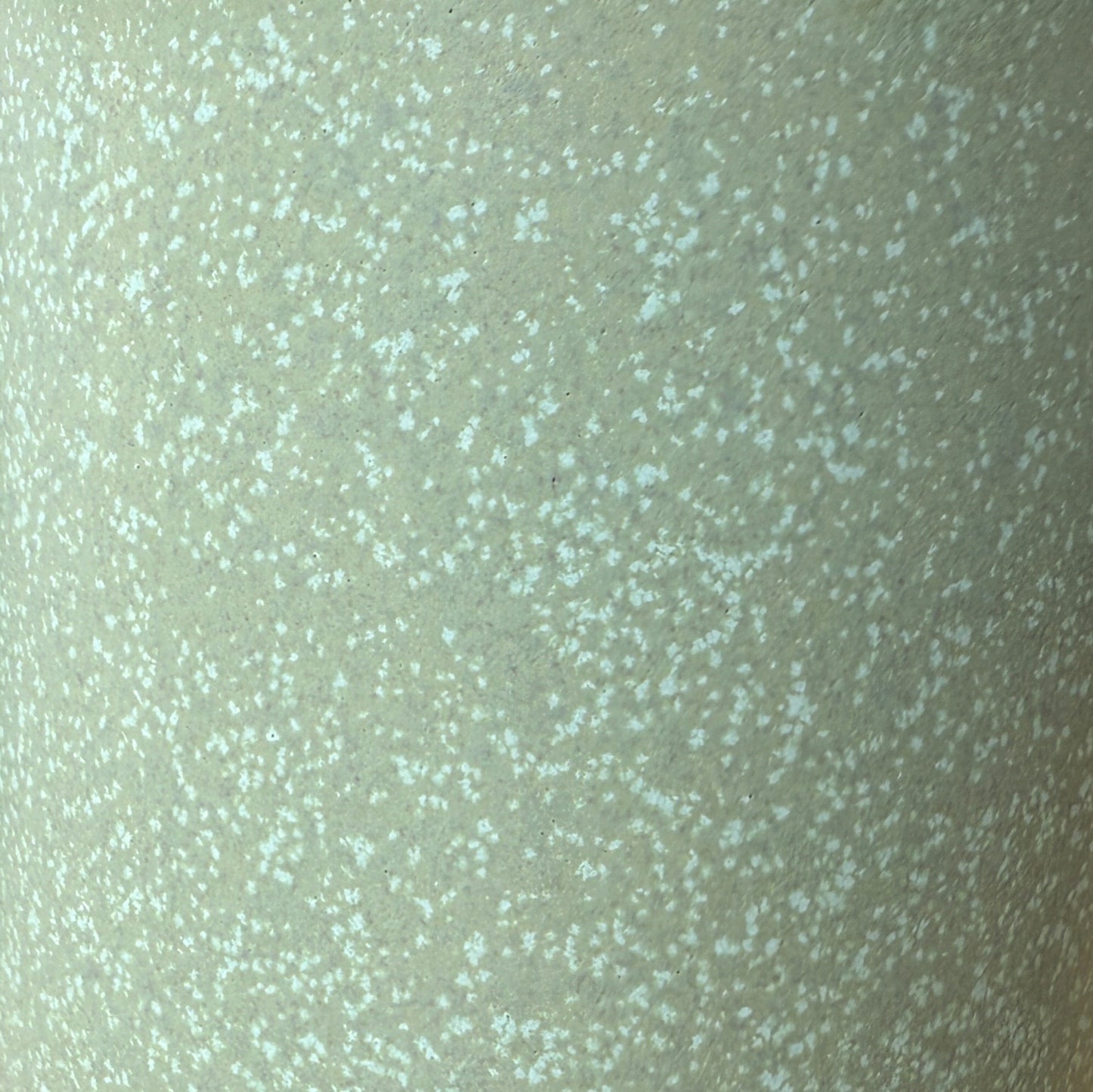 Perfect Mug in Lichen