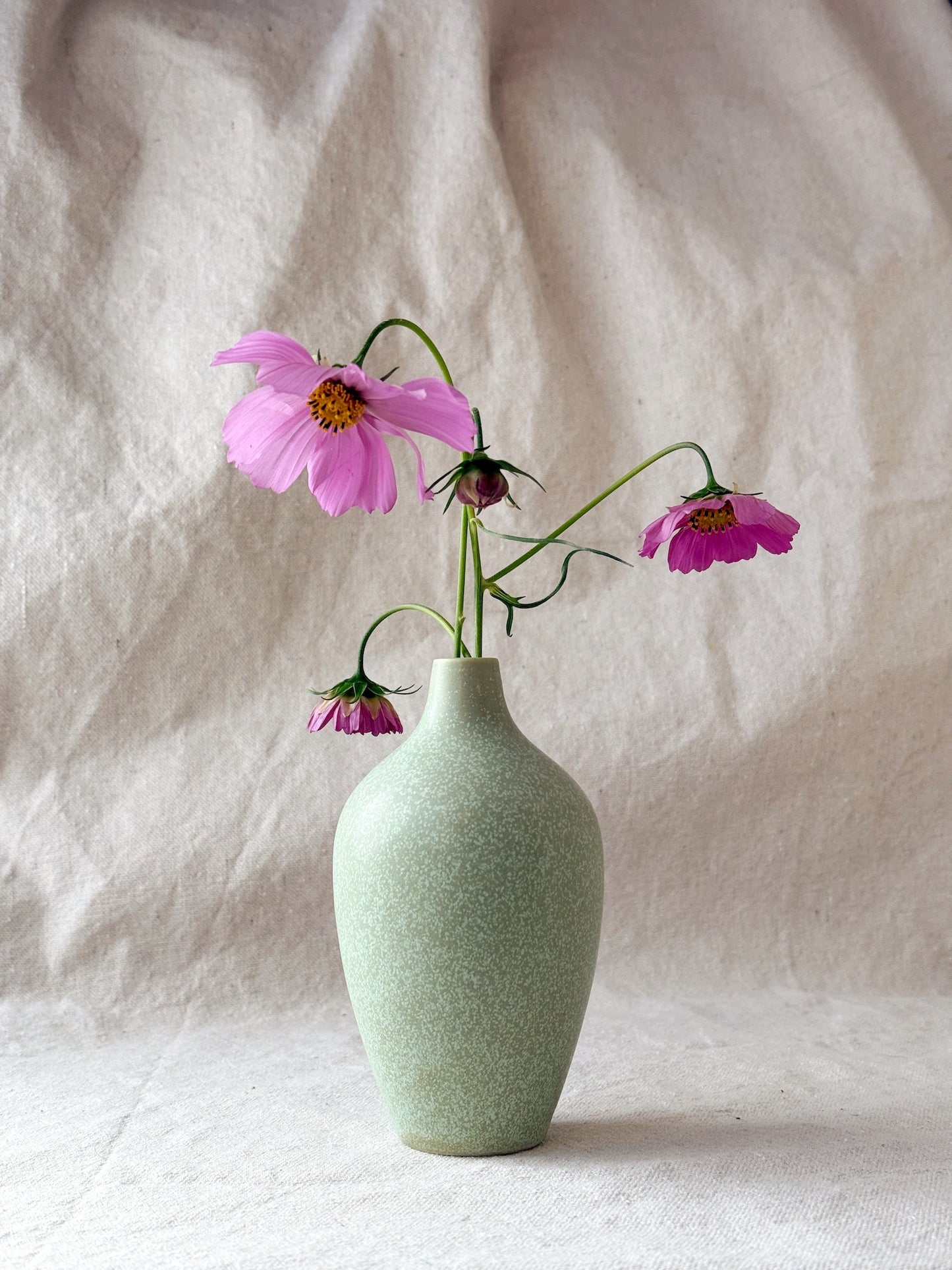 Bottle Vase No. 2